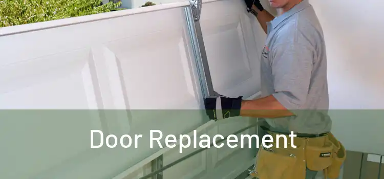  Door Replacement 